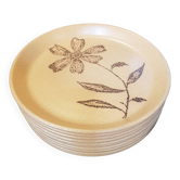 10 stoneware dinner plates