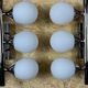 2x 60s 70s 6-bulb Sputnik wall lights by Kaiser Leuchten opal glass