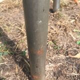 Yellow flave vintage formica stool