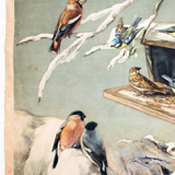 Birds in Winter, Educational Grid, F. Zerritsch, 1954