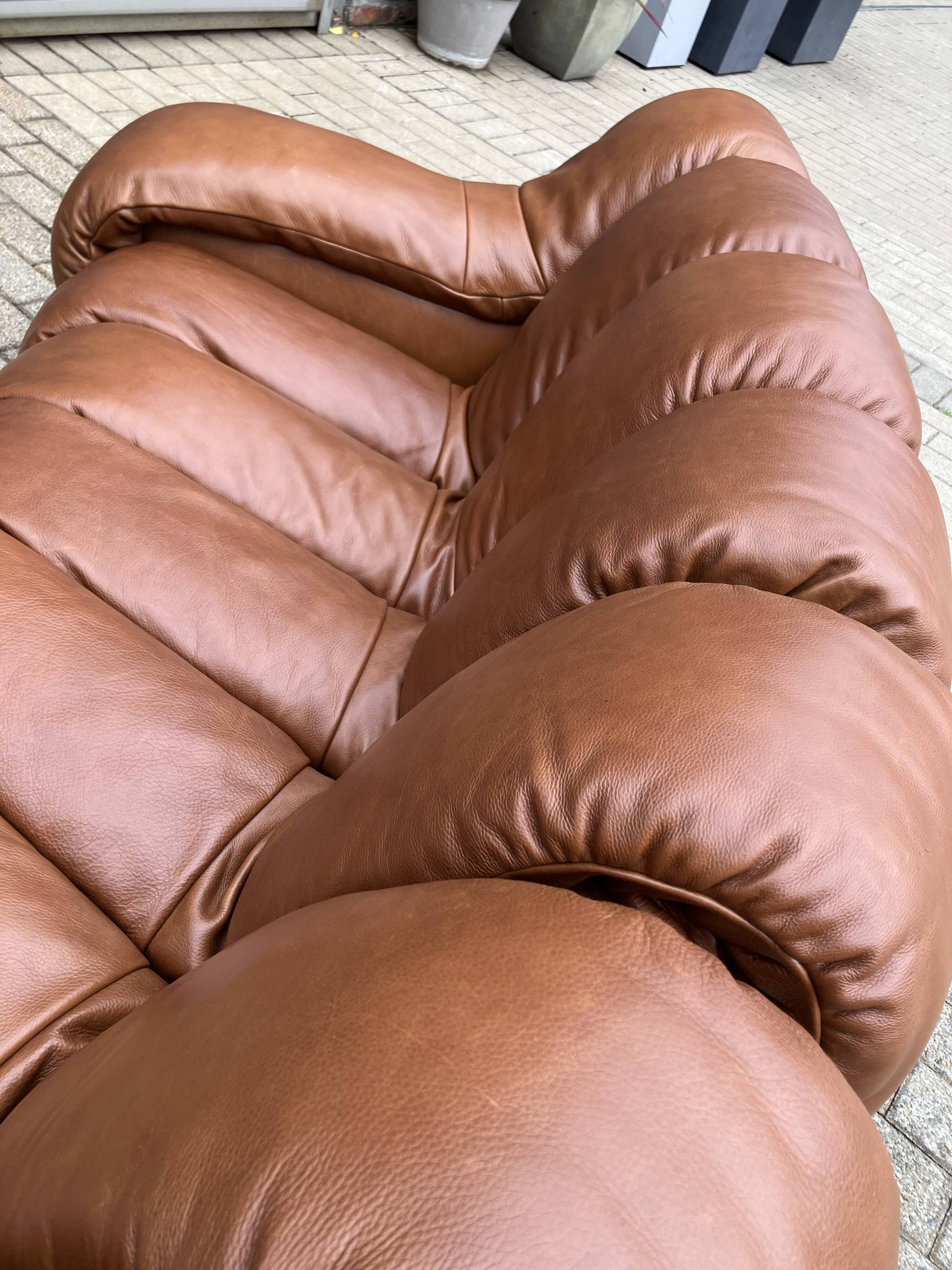 De Sede Ds600 Snake Tatzelwurm, 12 elements. New!