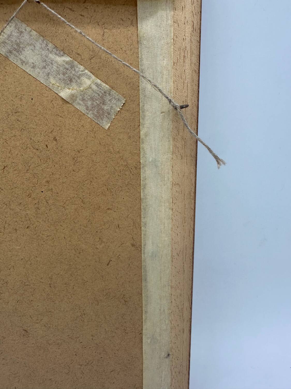 Butterflies lithograph frame