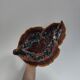 Large dish Vallauris