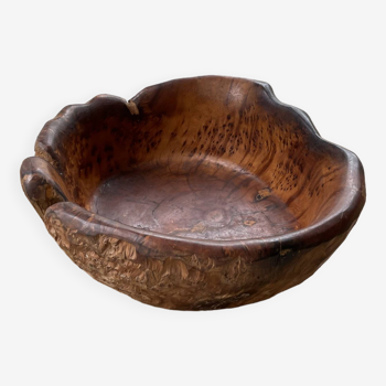 XL thuja root wooden dish