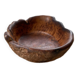 XL thuja root wooden dish