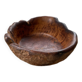 XL thuja root wooden dish