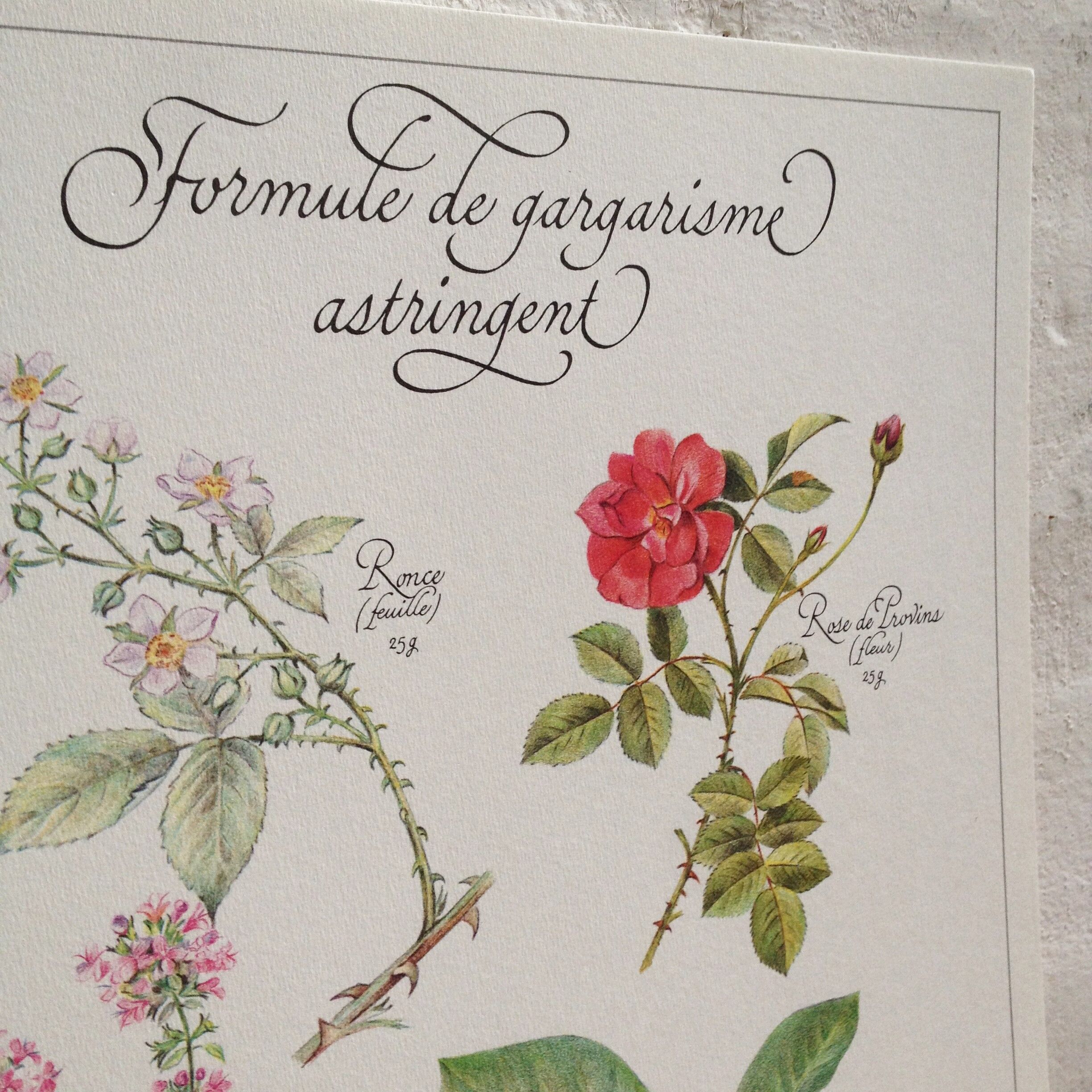 Botanical poster is a tisane