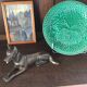 Bronze animalier chien loup