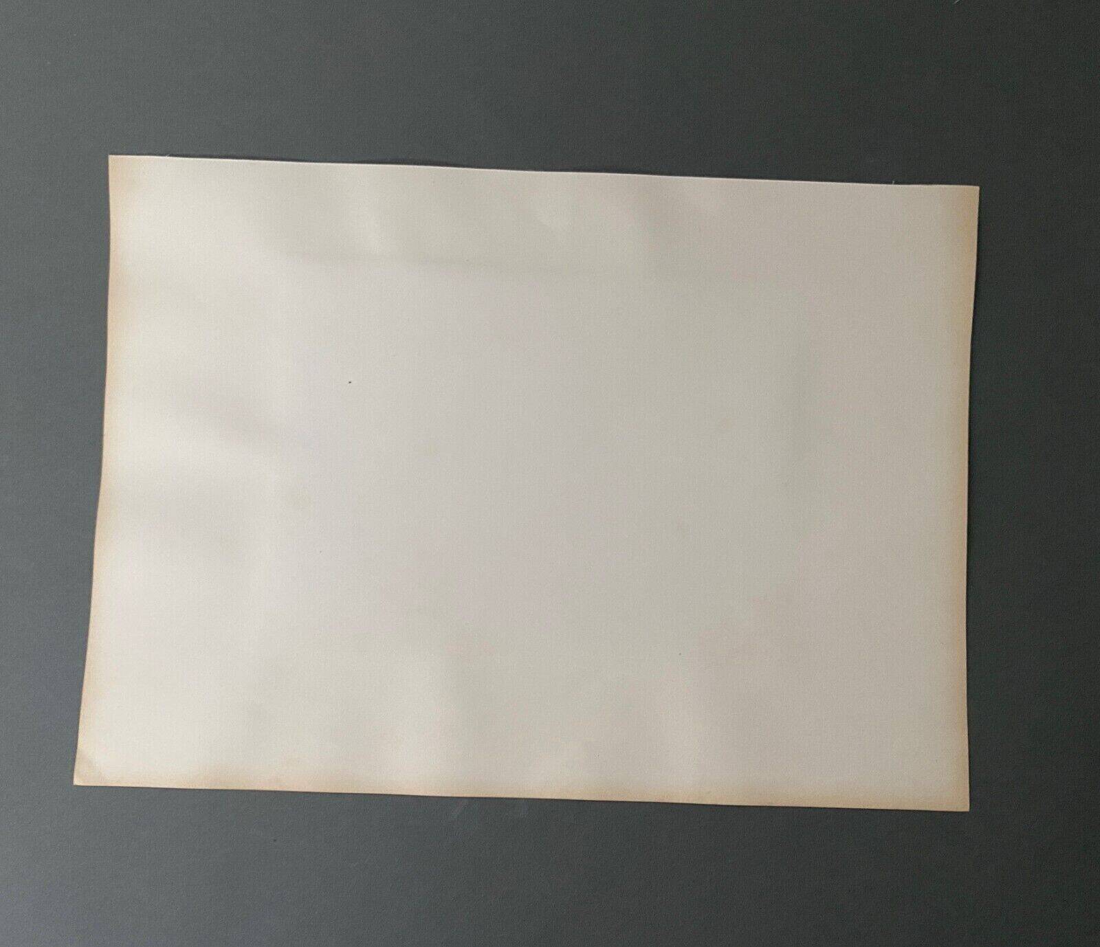 Photo Schoenbrunn Palace 19th century albumen laminated cardboard