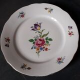 Series of 14 plates of German porcelain Bavaria