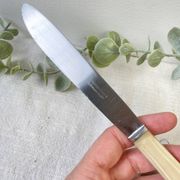 6 vintage Bakelite ivory knives France