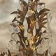 Golden iron lustre and pampilles