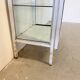 Mid-Century Polish Medical Display Cabinet, 1960s