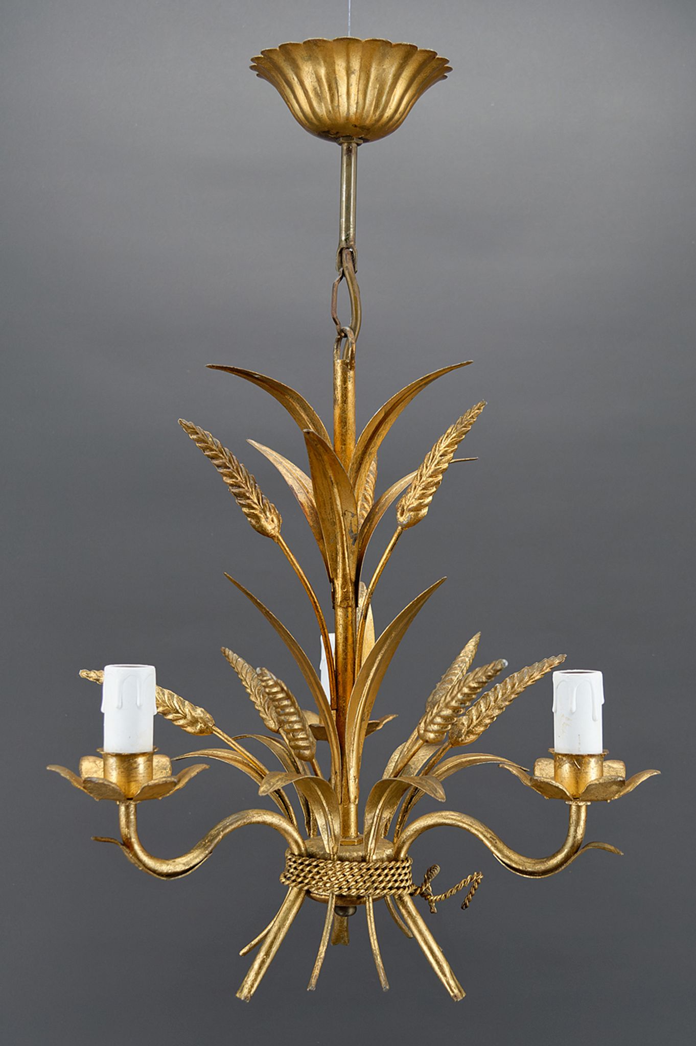 Golden suspension on ears of wheat, circa 1960