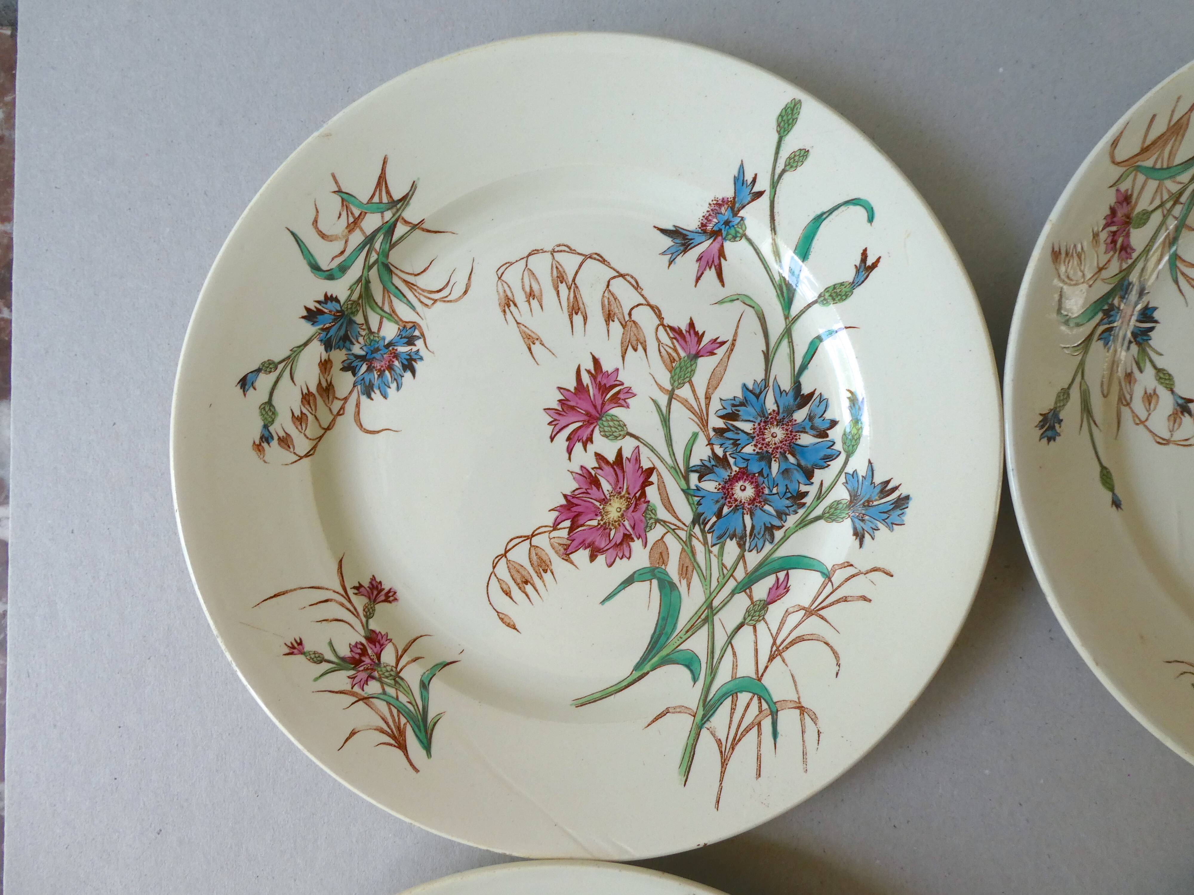 Set of 6 plates Blueberry decor Luneville France, 1900