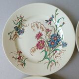 Set of 6 plates Blueberry decor Luneville France, 1900