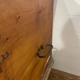 19th century carved wooden chest of drawers