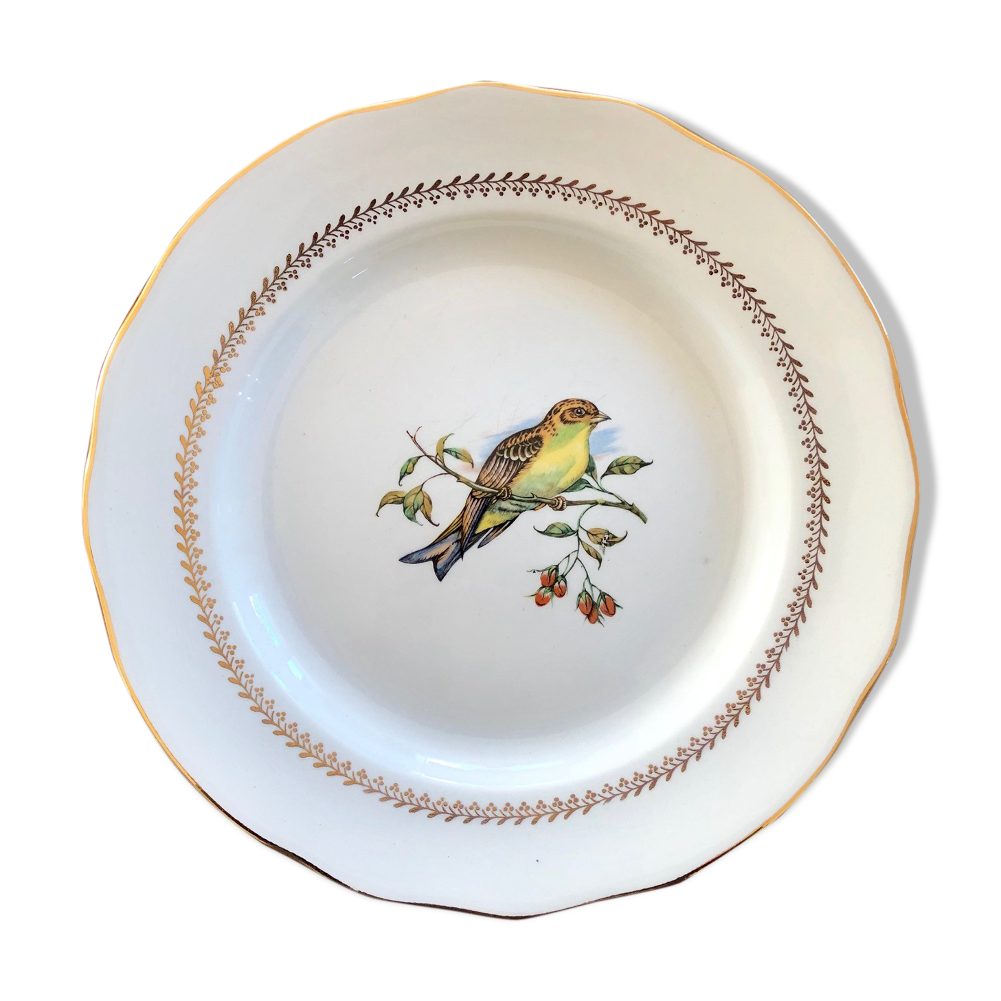 Plate Betting Sparrows