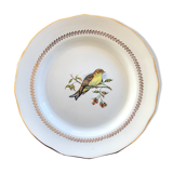 Plate Betting Sparrows