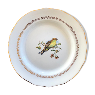 Assiette Moineaux de Paris