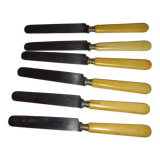 6 couteaux ancien acier et os
