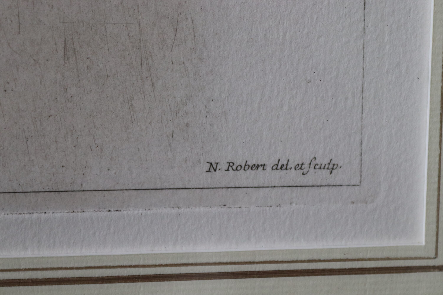 Framed botanical print of butterflies – Buglossum Creticum