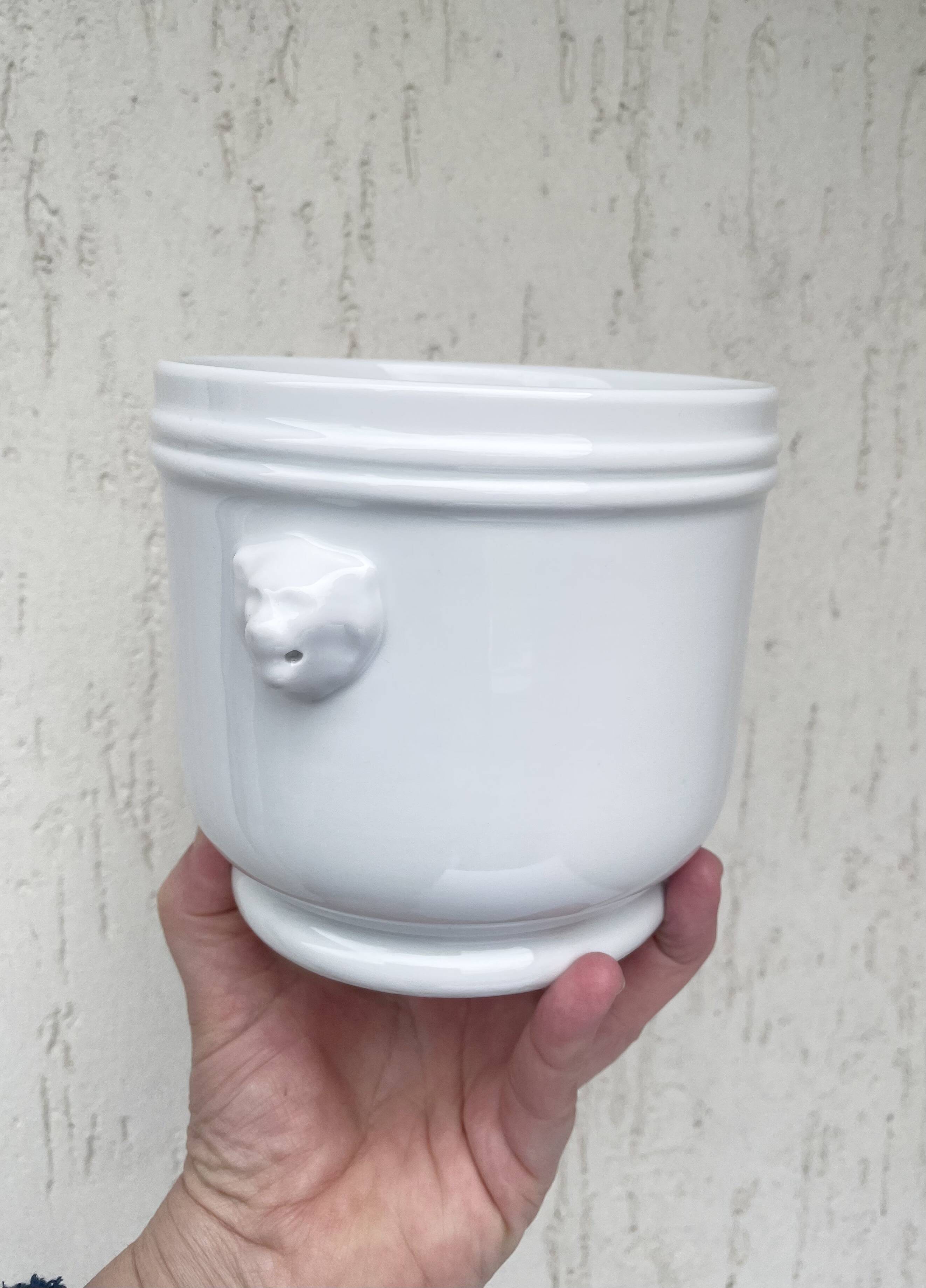 Lion head cache-pot