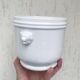 Lion head cache-pot