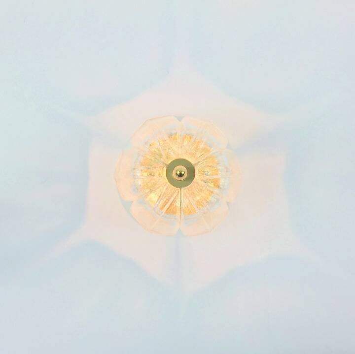 Mid-Century Modern Floral Glass & Brass Ceiling Light from Limburg, 1970s