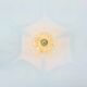Mid-Century Modern Floral Glass & Brass Ceiling Light from Limburg, 1970s