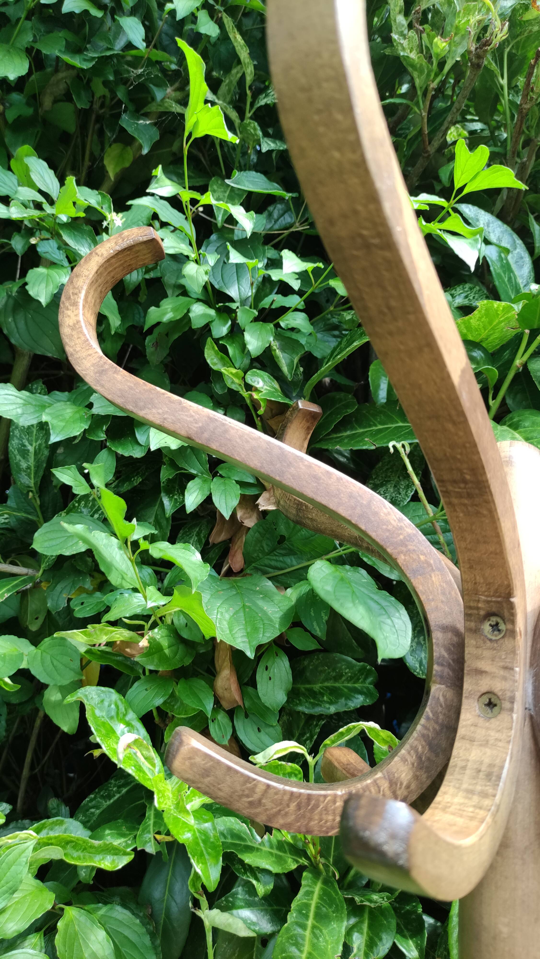 Baumann wooden parrot coat rack