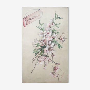 Tableau Aquarelle "Bouquet d'Eglantines" signé vers 1900 papier Vidalon