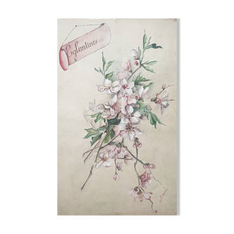 Tableau Aquarelle "Bouquet d'Eglantines" signé vers 1900 papier Vidalon