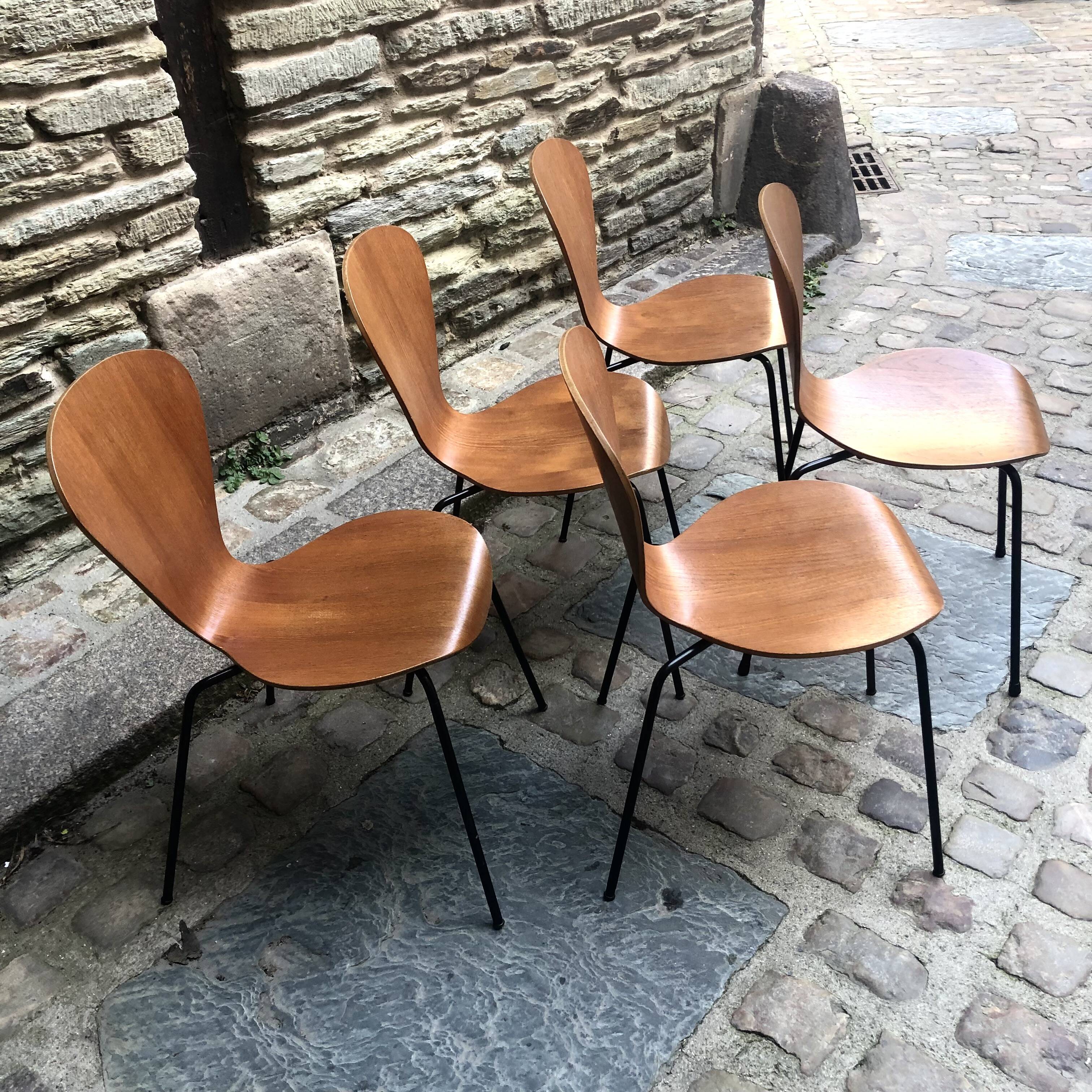 5 Arne Jacobsen chairs