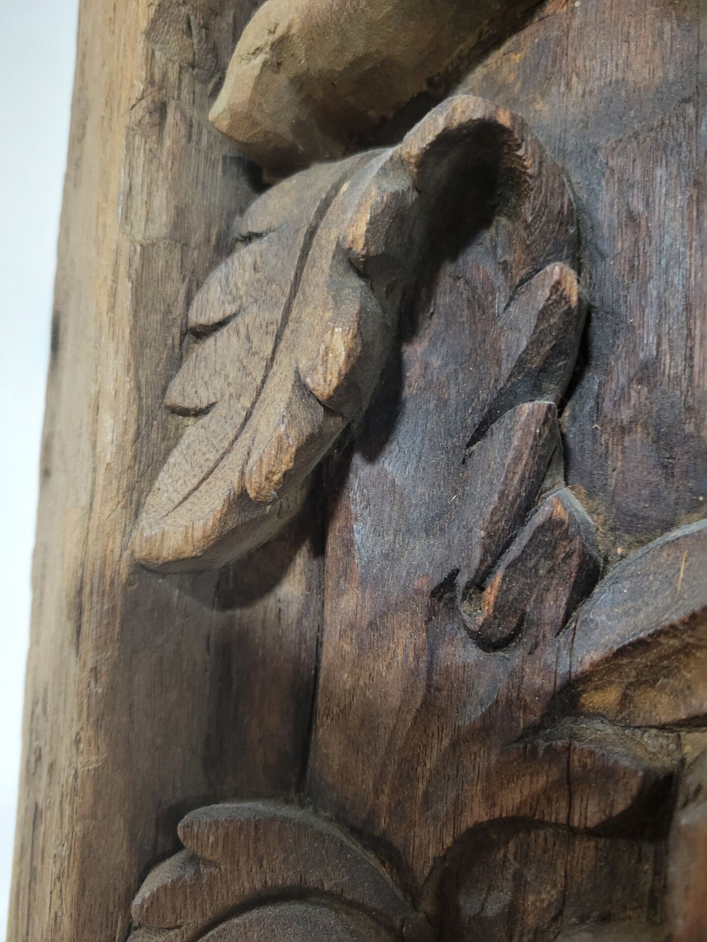 Carved wooden ceiling Curiosity cabinet 155×194cm