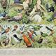 Gravure ancienne 1898, Oiseaux 1: espèces, rapaces • Lithographie, Planche originale