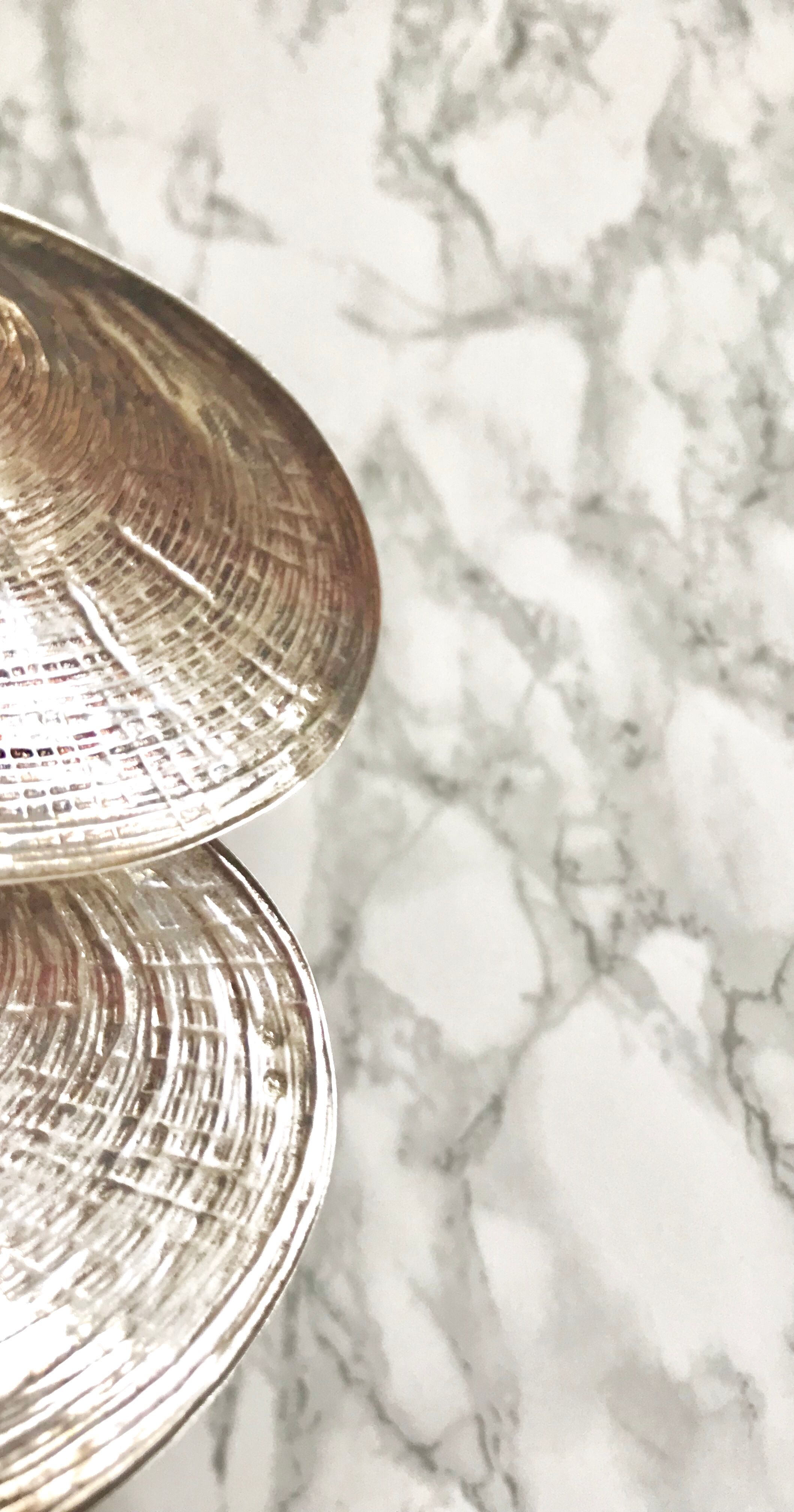 Two shells in silver