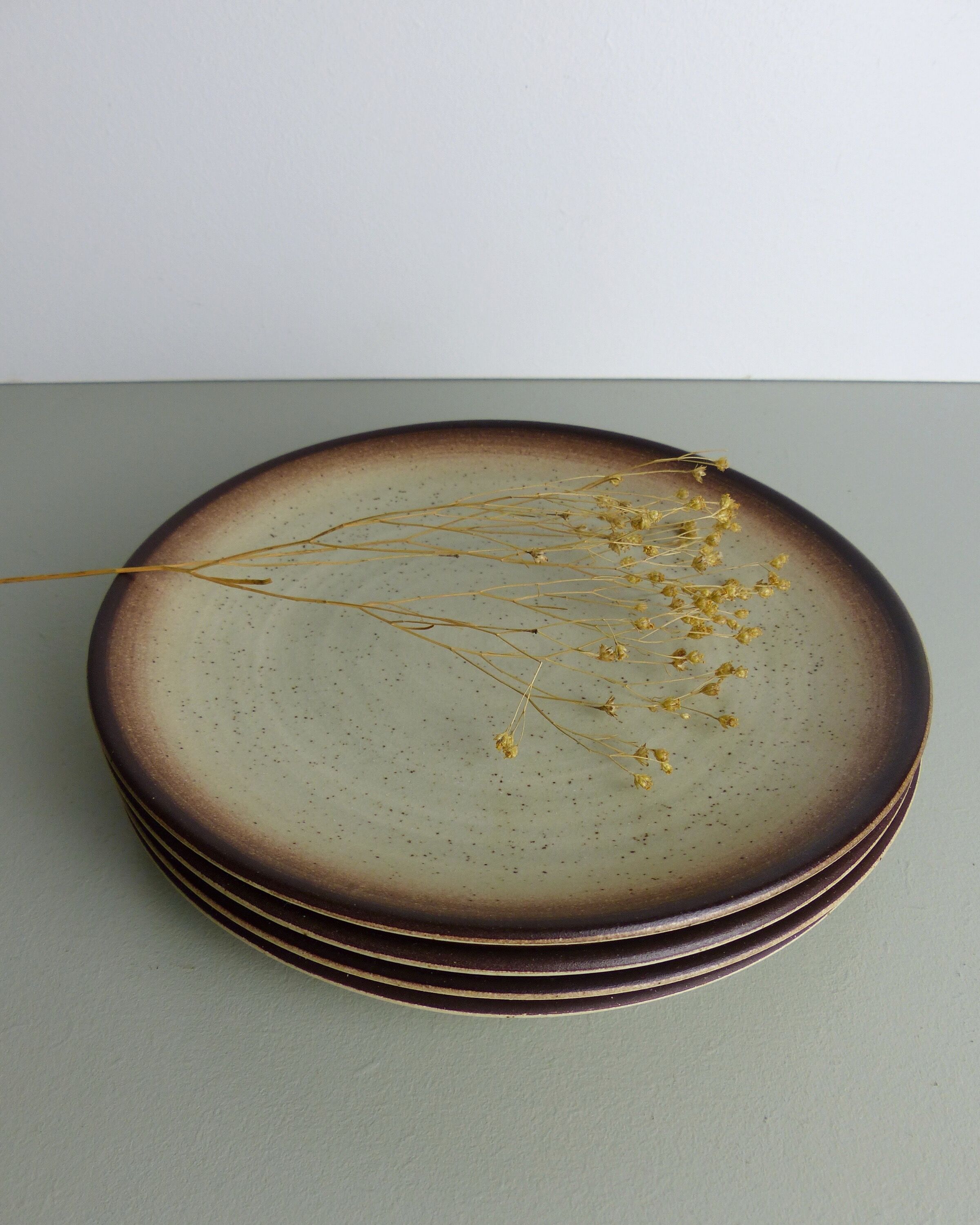 Set of 4 flat plates in speckled sandstone