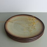 Set of 4 flat plates in speckled sandstone