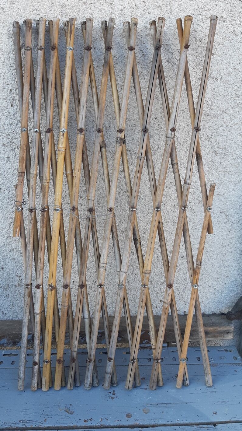 Claustra trellis vintage bamboo braces
