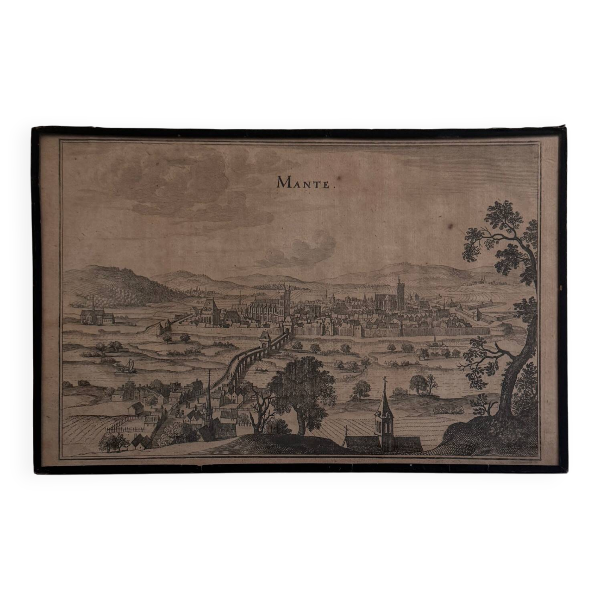 Antique engraving depicting a praying mantis (17th century)