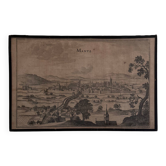 Antique engraving depicting a praying mantis (17th century)