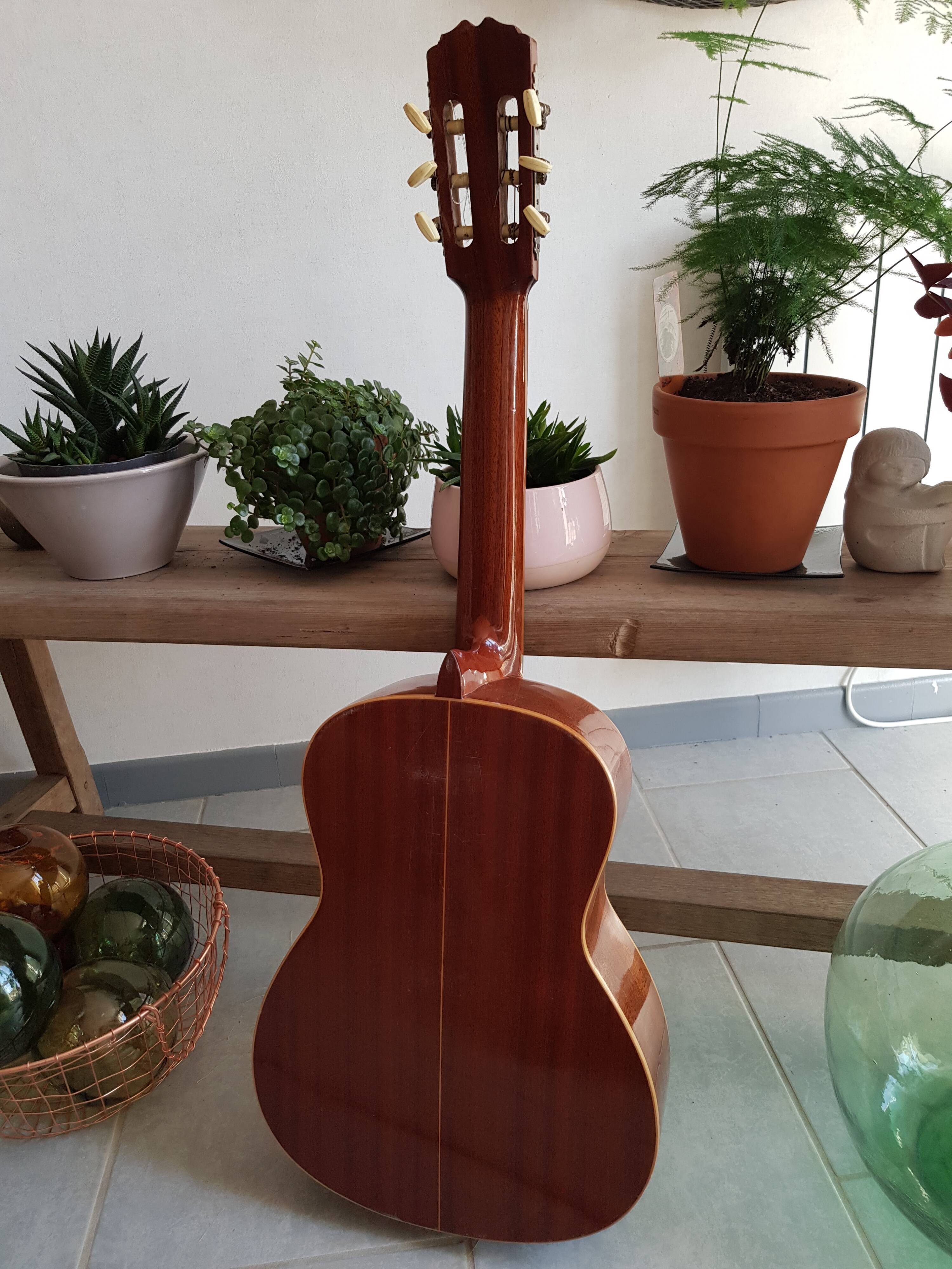 Vintage guitar raimundo