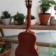 Vintage guitar raimundo