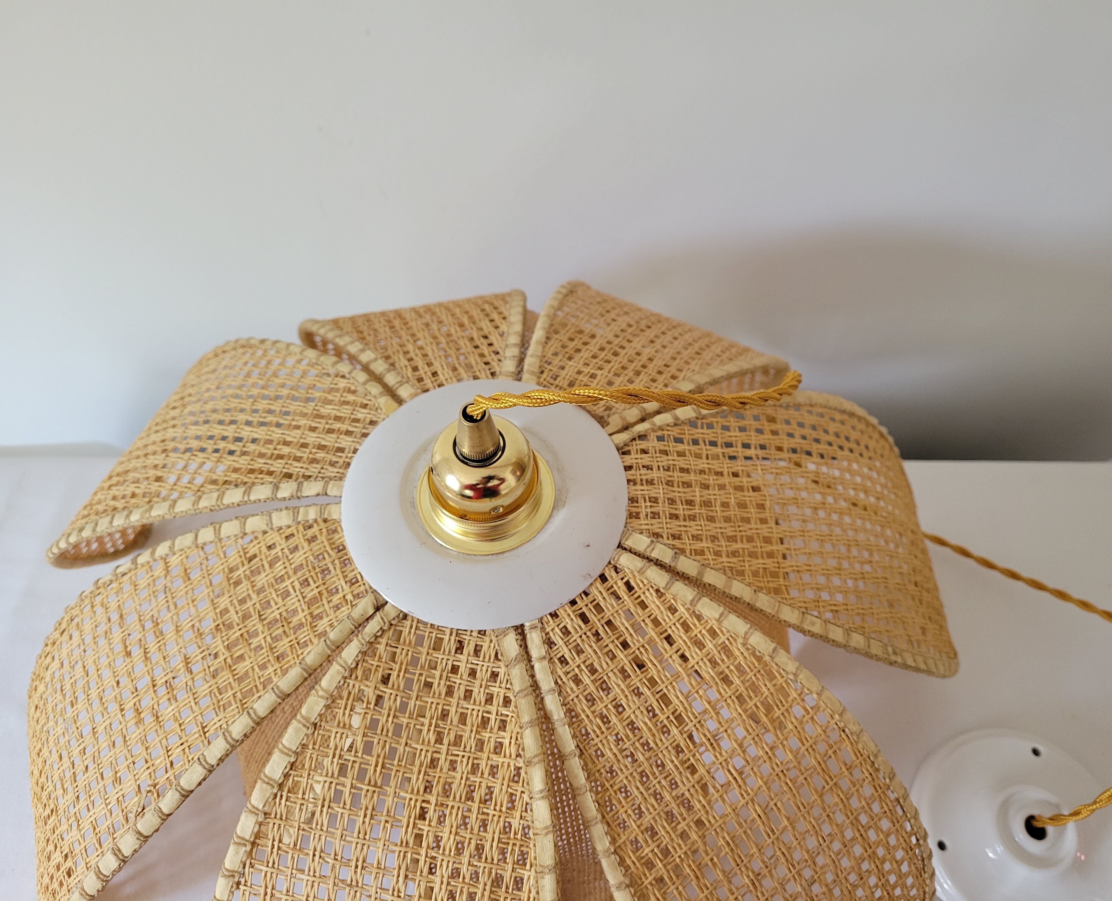 Rattan palm suspension and canning