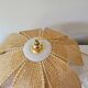 Rattan palm suspension and canning