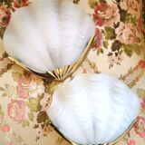 Wall light  shell frosted glass