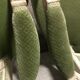 Paire de fauteuils louis XVI vert