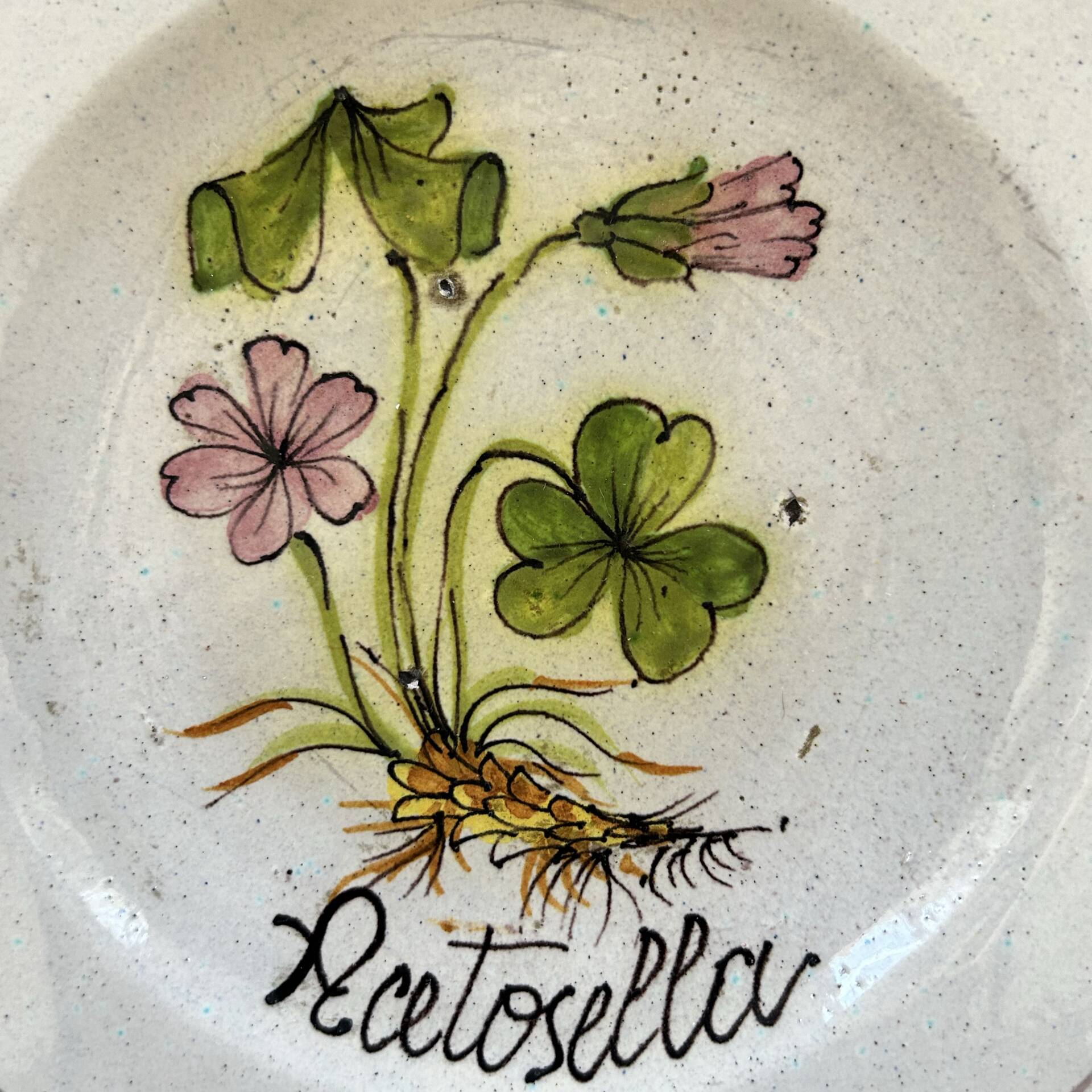 Collection of 3 botanical dishes made in Italy.