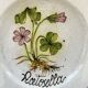 Collection of 3 botanical dishes made in Italy.
